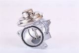 NISSENS EGR-klapp 98294