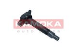 KAMOKA ritė, uždegimas 7120012