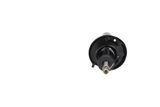 KAVO PARTS Amortisaator SSA-10269