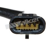 WALKER PRODUCTS Лямбда-зонд 250-241011