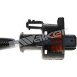 WALKER PRODUCTS Lambdasond 250-241032