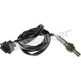 WALKER PRODUCTS Lambdasond 250-241032