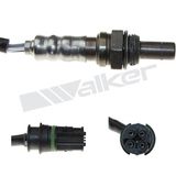 WALKER PRODUCTS Lambda zonde 250-241039