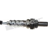 WALKER PRODUCTS Lambda zonde 250-241039