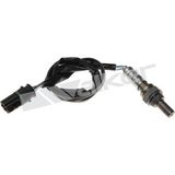 WALKER PRODUCTS Lambda zonde 250-241039