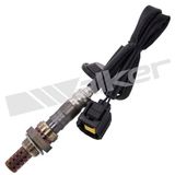 WALKER PRODUCTS Lambdasond 250-241056