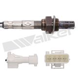 WALKER PRODUCTS Lambdasond 250-24109