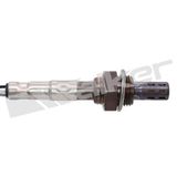 WALKER PRODUCTS Lambdasond 250-24109