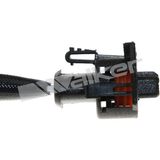 WALKER PRODUCTS Лямбда-зонд 250-241113