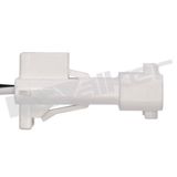 WALKER PRODUCTS Lambdasond 250-24135