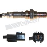 WALKER PRODUCTS Lambdasond 250-24270