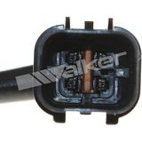 WALKER PRODUCTS Lambdasond 250-24270
