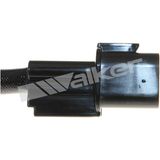 WALKER PRODUCTS Lambdasond 250-24270