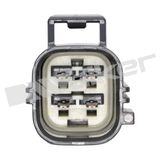 WALKER PRODUCTS Lambdasond 250-24408