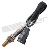 WALKER PRODUCTS Lambdasond 250-24408