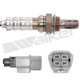 WALKER PRODUCTS Lambdasond 250-24434