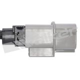 WALKER PRODUCTS Lambdasond 250-24434