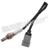 WALKER PRODUCTS Lambdasond 250-24434