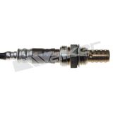WALKER PRODUCTS Lambdasond 250-24549