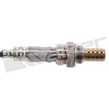 WALKER PRODUCTS Lambdasond 250-24770