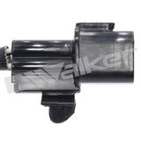 WALKER PRODUCTS Lambdasond 250-24789