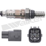 WALKER PRODUCTS Lambdasond 250-24924