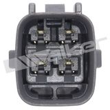 WALKER PRODUCTS Lambdasond 250-24924