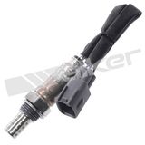 WALKER PRODUCTS Lambdasond 250-24924