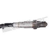 WALKER PRODUCTS Lambdasond 250-25005