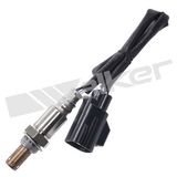 WALKER PRODUCTS Lambdasond 250-54028