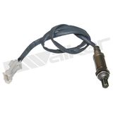 WALKER PRODUCTS Lambdasond 350-34389
