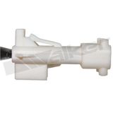 WALKER PRODUCTS Lambdasond 350-34567