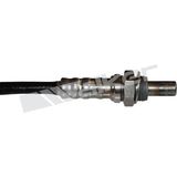 WALKER PRODUCTS Lambda zonde 350-34578