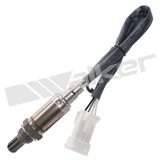 WALKER PRODUCTS Lambdasond 350-34613