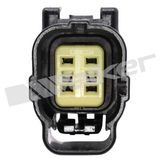 WALKER PRODUCTS Lambdasond 350-34804