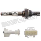 WALKER PRODUCTS Lambdasond 350-34905