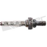 WALKER PRODUCTS Lambdasond 350-34905