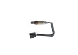 BOSCH Lambdasond 0 258 005 254