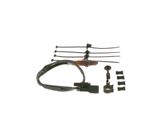 BOSCH Lambdasond 0 258 007 353