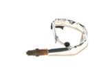 BOSCH lambda jutiklis 0 258 010 165