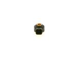 BOSCH Nakutustunnistin 0 261 231 168