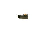 BOSCH detonacijos jutiklis 0 261 231 193
