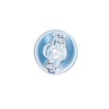 BOSCH Glödlampa, blinker 1 987 301 033