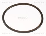 TRISCAN Термостат, охлаждающая жидкость 8620 7082