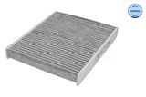 MEYLE filtras, salono oras 30-12 320 0017