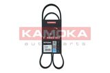 KAMOKA V formos rumbuoti diržai 7016065