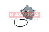 KAMOKA Водяной насос, охлаждение двигателя T0050