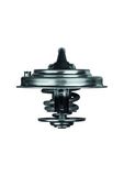 MAHLE Termostat, kylmedel TX 30 87D