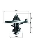 MAHLE Termostat, środek chłodzący TX 36 85D