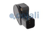 COJALI Andur, sõidupedaaliasend 2260372